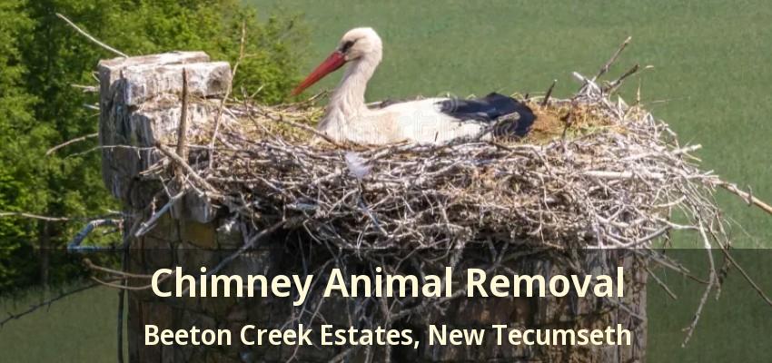 Chimney Animal Removal Beeton Creek Estates, New Tecumseth - ON