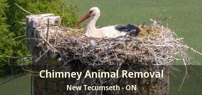 Chimney Animal Removal New Tecumseth - ON