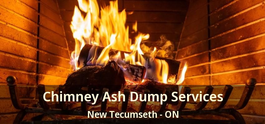 Chimney Ash Dump Services New Tecumseth - ON