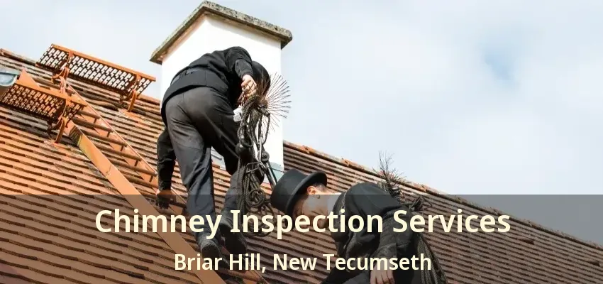 Chimney Inspection Services Briar Hill, New Tecumseth - ON