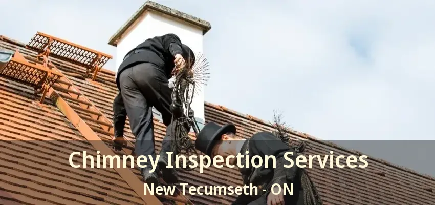 Chimney Inspection Services New Tecumseth - ON