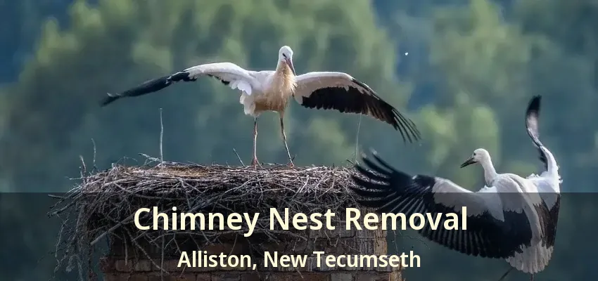 Chimney Nest Removal Alliston, New Tecumseth - ON