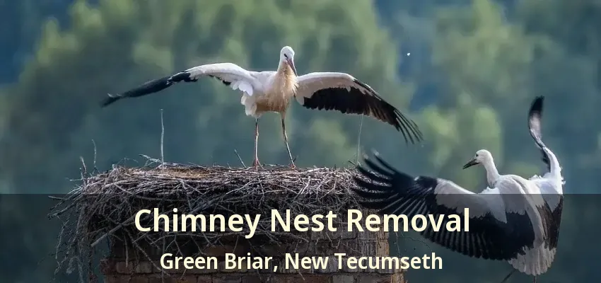 Chimney Nest Removal Green Briar, New Tecumseth - ON