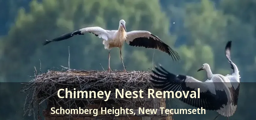 Chimney Nest Removal Schomberg Heights, New Tecumseth - ON