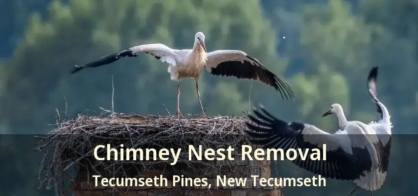 Chimney Nest Removal Tecumseth Pines, New Tecumseth - ON