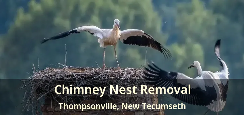 Chimney Nest Removal Thompsonville, New Tecumseth - ON
