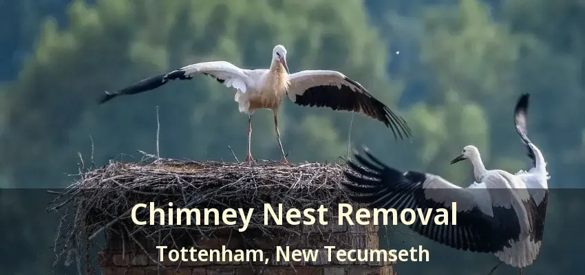Chimney Nest Removal Tottenham, New Tecumseth - ON