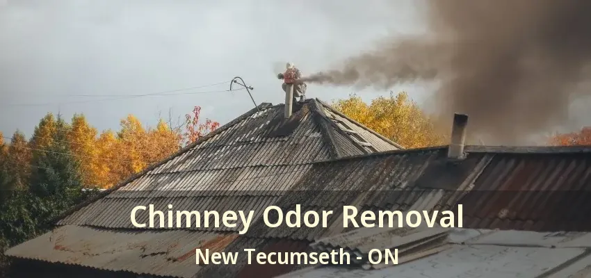 Chimney Odor Removal New Tecumseth - ON
