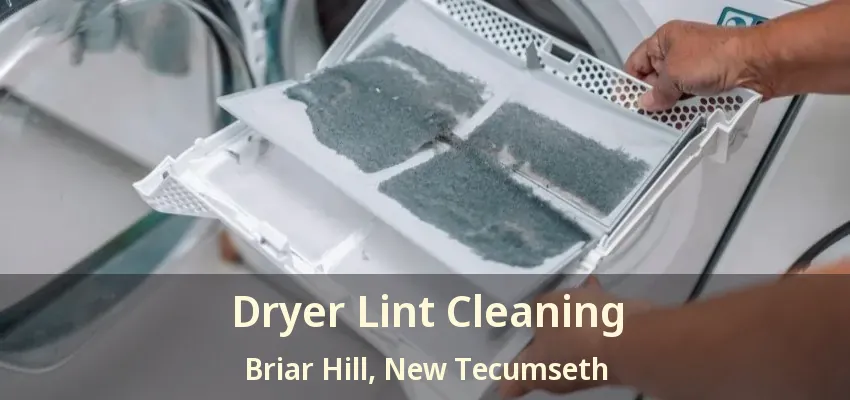 Dryer Lint Cleaning Briar Hill, New Tecumseth - ON