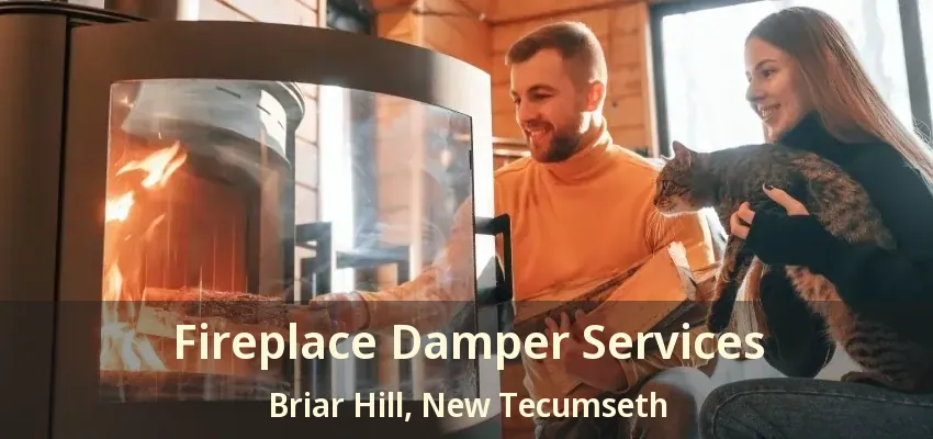 Fireplace Damper Services Briar Hill, New Tecumseth - ON