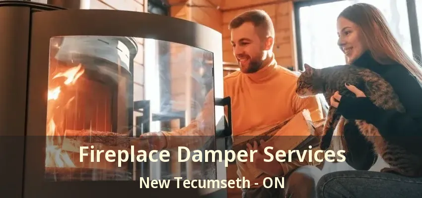 Fireplace Damper Services New Tecumseth - ON