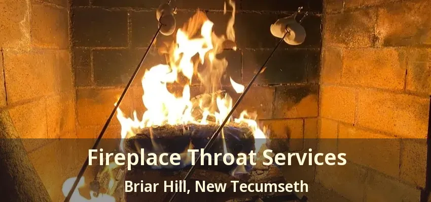 Fireplace Throat Services Briar Hill, New Tecumseth - ON