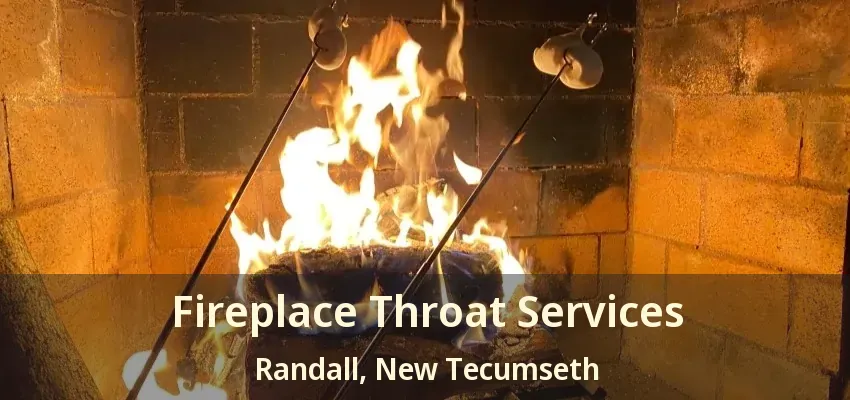 Fireplace Throat Services Randall, New Tecumseth - ON