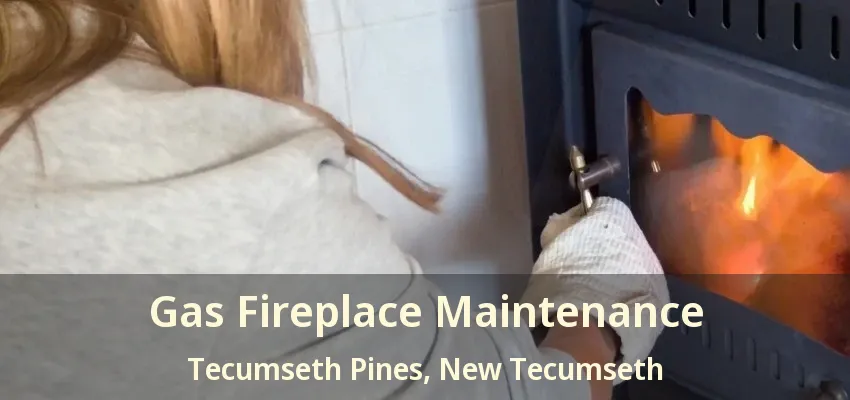 Gas Fireplace Maintenance Tecumseth Pines, New Tecumseth - ON