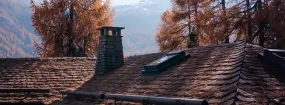 Chimney Animal Removal Briar Hill, New Tecumseth